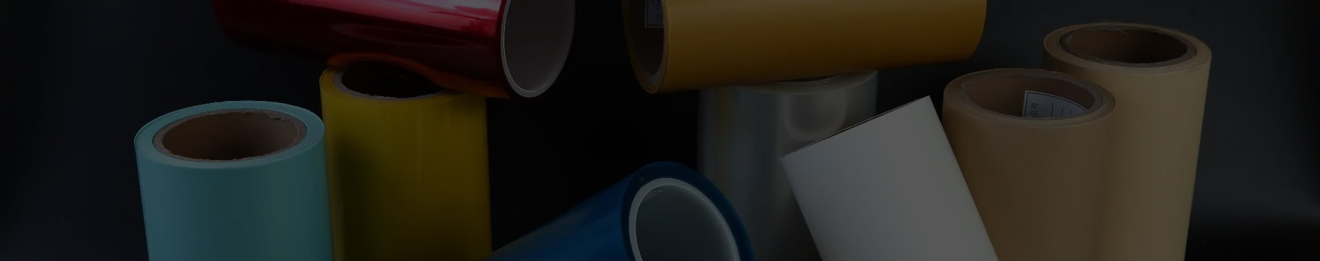 ��������Ĥ